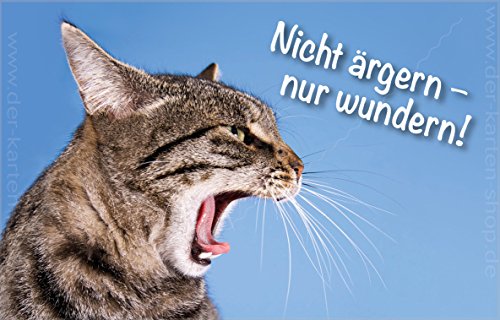 3 Stück kleine Minikarten, Klappkarten mit Kuvert, Karte, Geschenkanhänger, verärgerte Katze "Nicht ärgern, nur wundern!" Format: 55 x 85 mm von Der-Karten-Shop.de