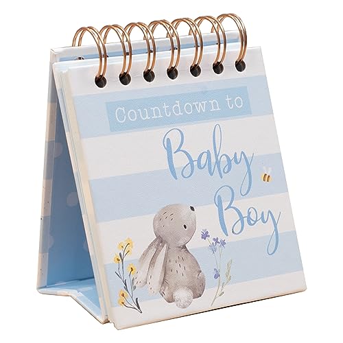 Design by Violet 50 Tage Baby Coundown Kalender Baby Mädchen Baby Junge Andenken Momente Babyparty Geschenke für Mama – Neues Baby Geschenk für Jungen oder Mädchen Unisex (blau) von Design By Violet