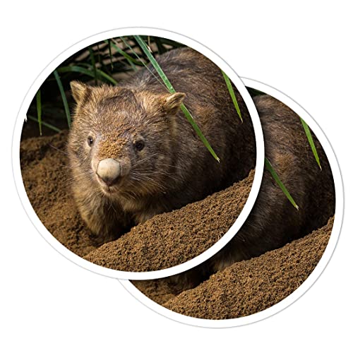 Vinyl-Aufkleber, rund, 10 cm, Australian Wombat, süßes Wildtier, für Laptops, Tablets, Gepäck, Scrapbooking, Kühlschränke #50140 von Destination Vinyl Ltd