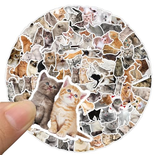 100 Stück Lustiges Katzen Aufkleber Set, Katzen Aufkleber Set, Katzen Aufkleber wasserfeste Aufkleber, Meme Sticker, Aesthetic Aufkleber Geeignet für,Skateboard,Auto,Gepäck, Laptop von Devenirriche