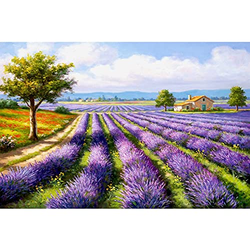 5D Diamond Painting Full Drill Set,Lavendel,DIY Erwachsenen Kinder Large Diamantmalerei Kreuzstich mosaik, verwendet für Heim oder Bürodekoration Handwerk Geschenk 40x80cm von Diamond painting SAHONG