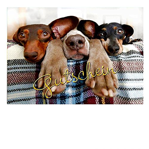 DigitalOase 4 kleine Gutscheine Gutscheinkarten Geschenkkarten 4 Klappkarten 4 Kuverts DIN A7#DOGS TIERE HUNDE von DigitalOase