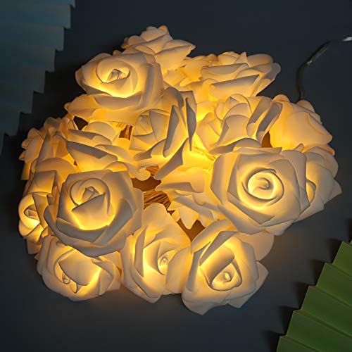 Dioche Rose Blume Lichterketten - 3 Meter 20LED USB Künstliche Blumen Lichterketten Rose Lichterkette für Valentinstag Hochzeitstag Geburtstagsfeier Schlafzimmer Dekoration(Weiß) von Dioche