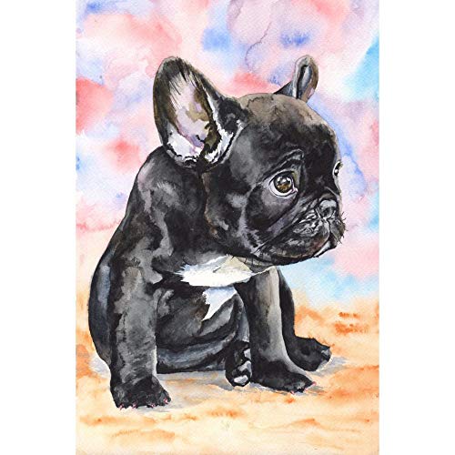 DiyAtionArt Malen nach Zahlen Kits ﹣Französische Bulldogge Haustier Hund Tier﹣ DIY Leinwand Malerei für Erwachsene Anfänger - 16 x 20 Zoll (ohne Rahmen) von DiyAtionArt