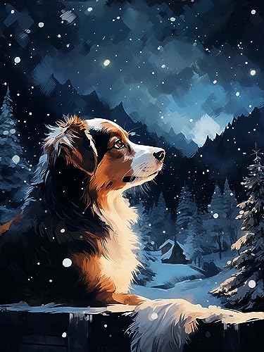 Diymood 5D Diamant Painting Kit Hund - DIY Diamond Painting Sternenhafte Nacht Bilder Zubehör für Runde Diamond Kreuzstich Stickerei - Dekorative Kunst für Büro und Zuhause - Wandbild 30x40 cm von Diymood