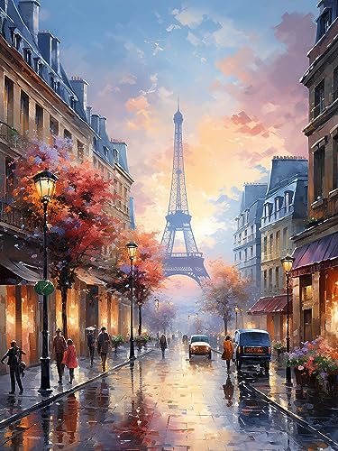 Diymood 5D Diamant Painting Kit Pariser Turm - DIY Diamond Painting Landschaft Bilder Zubehör für Runde Diamond Kreuzstich Stickerei - Dekorative Kunst für Büro und Zuhause - Wandbild 30x40 cm von Diymood