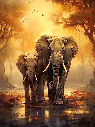 Diymood DIY Diamond Painting Elefant Kit – 5D Diamant Bilder Wald für Erwachsene | Kunstvolle Strass Stickerei Sets für Home Dekoration | 30X40 cm Wanddekoration von Diymood