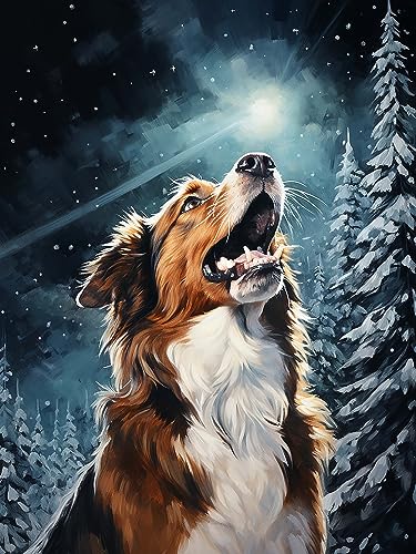 Diymood DIY Diamond Painting Hund Kit – 5D Diamant Bilder Schnee für Erwachsene | Kunstvolle Strass Stickerei Sets für Home Dekoration | 30X40 cm Wanddekoration von Diymood