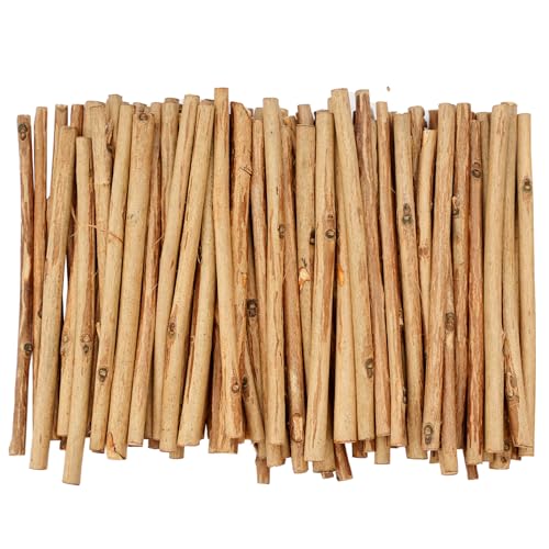 DLUSZERT 120 Stück Holzstäbchen zum Basteln, 10CM Holzblock Sticks 0,3-0,5CM im Durchmesser, Natürliche Holzsticks Holz Log Sticks, Zweige Holzstiele für DIY Handwerk Heimwerker Requisiten (Holzfarbe) von Dluszert