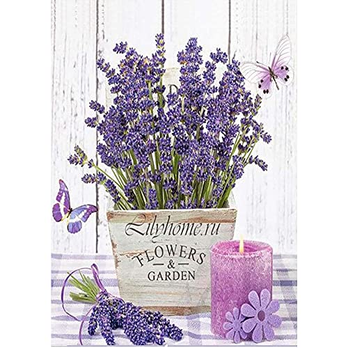 Domybest Lavendel Diamond Painting Komplettset Blume Basteln Handwerk Diamant 5D Komplett Kreuzstich Diamant Diamant Diamant Rund Dekoration Geschenk 30 x 40 cm von Domybest FR