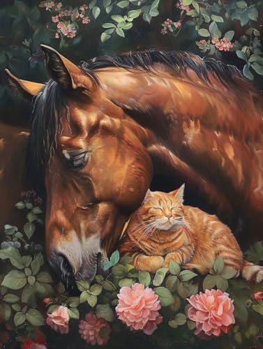 Diamond Painting Katze Und Pferd Diamond Painting Erwachsene, DIY Diamant Painting Bilder Tier Diamond Art, Diamond Painting Kinder Malen Nach Zahlen Malerei Kits fur Home Wand Dekor 30 x 40 cm Pd410 von Donpeer