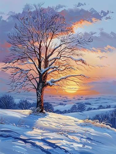 Diamond Painting Winterlandschaft Diamond Painting Erwachsene, DIY Diamant Painting Bilder Sonnenuntergang Diamond Art Painting Kinder Malen Nach Zahlen Malerei Kits fur Home Wand Dekor 50x60 cm Pd68 von Donpeer