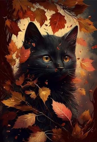 40x60cm Diamond Painting Ewachsene, DIY 5D Diamant Painting Schwarze Katze Bilder Art Bastelset Diamond Painting Kinder Anfänger Stickerei Set, for Home Wall Decor oder Madchen Geschenke D-341 von Dooqon