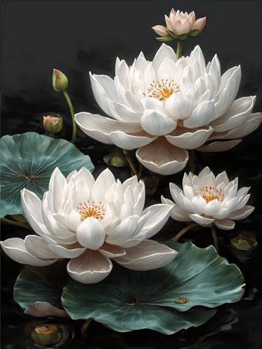 5D Diamond Painting Erwachsene Kits, DIY Lotus blume Diamond Painting Bilder, Mosaikherstellung Malen Nach Zahlen Full Drill Cross Stickerei Malerei Kits für Home Weihnachten Wand Décor 50x70cm C-337 von Dooqon