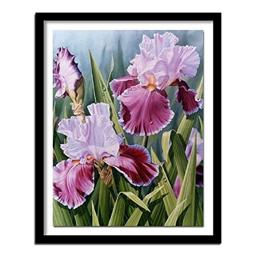 5D Diamond Painting Iris Diamant Painting Kinder, DIY Voll Set Cross Stickerei Malerei, Diamond Painting Erwachsene Bilder Kits, Home Wanddekoration Malerei Kunsthandwerk Geschenk 40x50cm von Dooqon