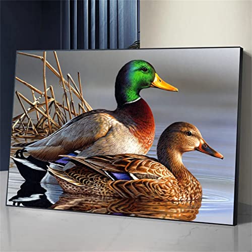 Diamond Painting, 5D Diamant Painting Ente Tier Bilder, Diamant Malerei Kinder Kreuzstich Kits, groß Daiments Painting mit Voll Zubehör für Wohnzimmer Schlafzimmer Büro Wand 30x40cm/12x16in von Dooqon