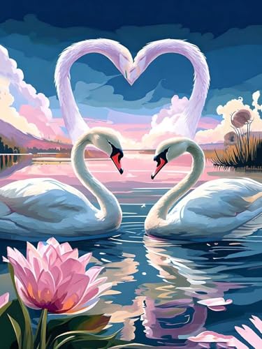 Malen Nach Zahlen Erwachsene Beginner Schwan Paint by Number Artwork Paint by Number Kits Colorful Canvas Oil Painting by Number Home Wall Dekoration Geschenke 40x50cm Frameless G-401 von Dooqon