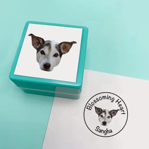 Drawelry Personalisiert Haustier Stempel mit Foto und Namen Gravur Quadratisch Gummi Stempelplatte Mehrfarbig Hunde Katzen Gesicht Portrait Bild Stempel für Weihnachten Geburtstags Geschenke (D) von Drawelry