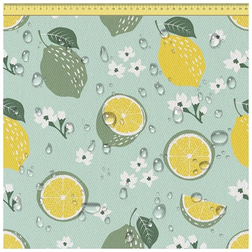 DreamRoots Segeltuch Wasserdicht - Polsterstoff Meterware 160 cm breit - Wasserabweisender Stoff 220 g/m2 600D - Markisenstoff Wasserdicht Meterware Lemons and Limes 2M von DreamRoots