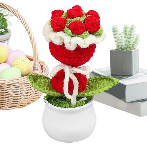 Dtaigou Häkelblumen,Häkelblume | Handgefertigter Blumenstrauß im Topf - Bunte gestrickte Häkelpflanze, süßes Home-Office-Schreibtisch-Geschenk für Mama, von Dtaigou