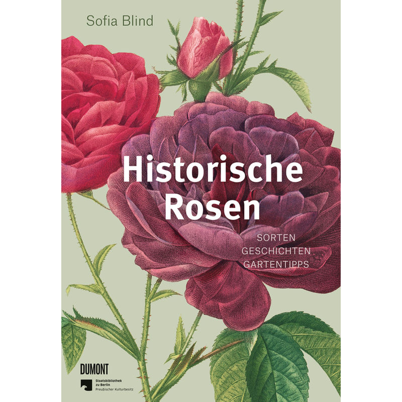 Historische Rosen - Sofia Blind, Gebunden von DUMONT BUCHVERLAG