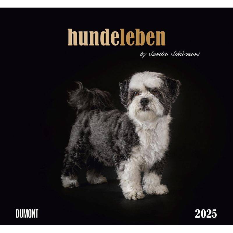 Dumont - Hundeleben 2025 Wandkalender, 38X35,5Cm, Foto-Kunst-Kalender Mit Charmanten Tiermotiven Und Zitaten, By Sandra Schürmans von DuMont