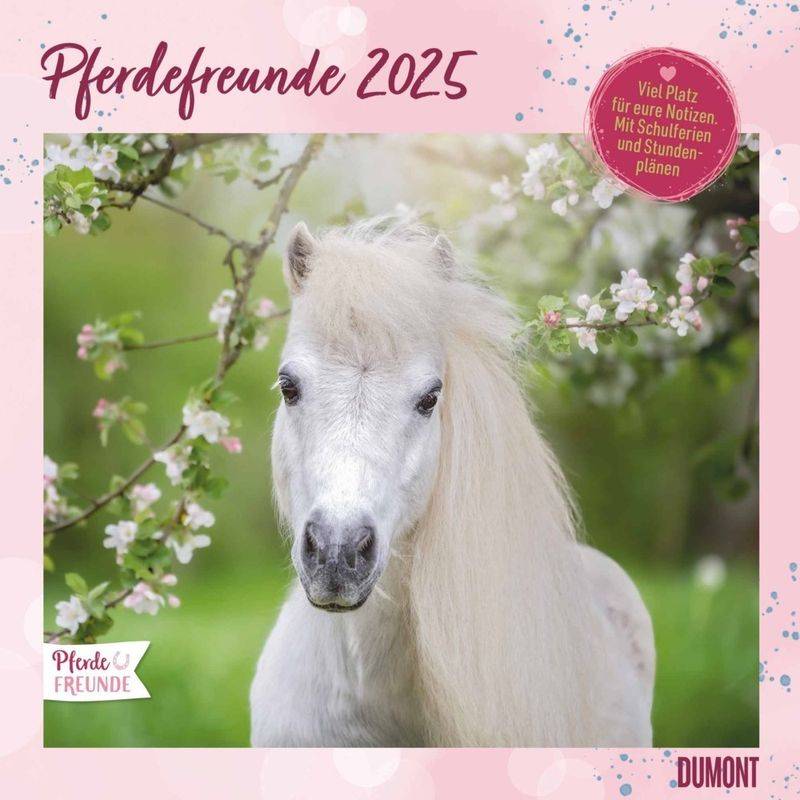 Dumont - Pferdefreunde 2025 Broschürenkalender, 30X30cm, Wandkalender Mit Pferde-Motiven, Mit Stundenplan Und Schulferien von DuMont