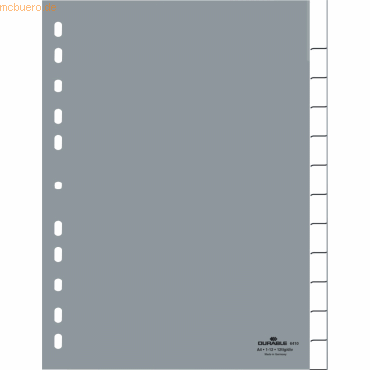 20 x Durable Register A4 blanko 12-teilig grau von Durable