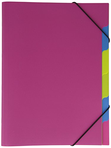 Pagna 41803-34 Ordnungsmappe, Funky School Trend PP, 5-teilig, pink von Pagna