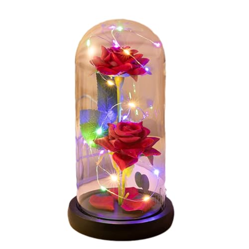 Dusarls Unsterbliche künstliche Rose, Rose in Glaskuppel mit Laterne, Valentinstag Rosen licht, Rose Blume Nacht Lampe, Valentinstag Licht für Dating Nacht Valentinstag von Dusarls