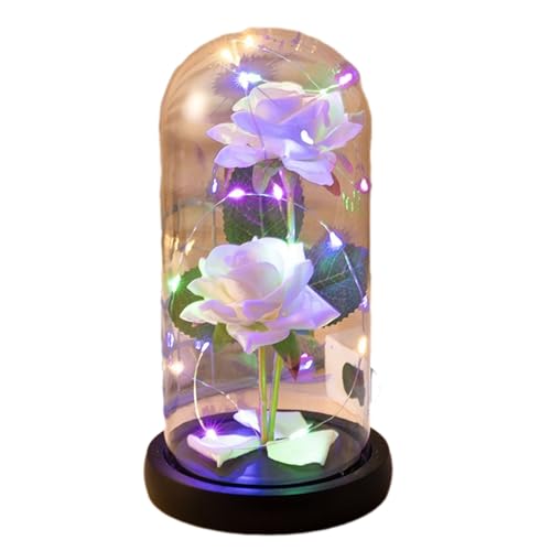 Dusarls Unsterbliche künstliche Rose, Rose in Glaskuppel mit Laterne, Valentinstag Rosen licht, Rose Blume Nacht Lampe, Valentinstag Licht für Dating Nacht Valentinstag von Dusarls