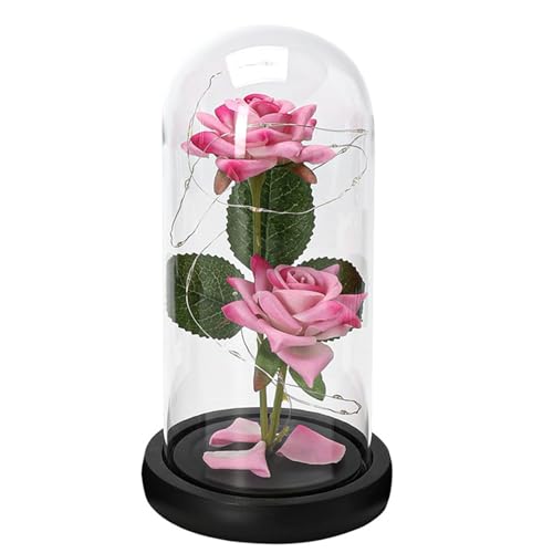 Dusarls Unsterbliche künstliche Rose, Rose in Glaskuppel mit Laterne, Valentinstag Rosen licht, Rose Blume Nacht Lampe, Valentinstag Licht für Dating Nacht Valentinstag von Dusarls