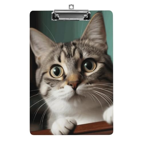 A Curious Cat Klemmbrett Dekoratives A4-Klemmbrett in Briefgröße mit flachem Profil-Clip Menüblöcke Quittungsclips Acryl-Klemmbrett für Büro, Restaurant, Café, Hotel, 32,5 x 21,6 cm von Dwrepo