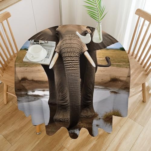 Tischdecke mit afrikanischen Wildtieren, Elefant, wasserdicht, knitterfrei, rund, 91,4 x 91,4 cm, waschbare Tischdecke für drinnen und draußen, Küche, Esszimmer, Urlaub, dekorativ, 152,4 cm von Dwrepo