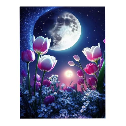 Dzmuero Diamond Painting, 5d diamant painting, Diamont Painting Bilder Landschaft Natur Strand Meer Mond Diamant Painting Bastelset Basteln fur Erwachsene Kinder Mädchen, 30cm X 40cm von Dzmuero