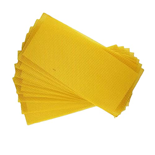 EASONGEE 100% reines Bienenwachs-Blatt für die Kerzenherstellung, 10 Stück, 90 mm x 130 mm, natürliche Wachs-Blätter, einfache DIY-Kerzen-Herstellung für Erwachsene und Kinder von Qunclay