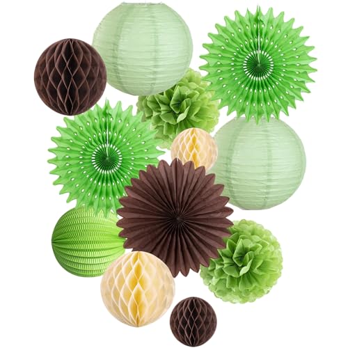 Easy Joy 12 Stück Salbeigrüne Dekoration Papier Pompom Rosetten Seidenpapier Wabenbälle Feier Deko Seidenpapier Pompoms Hochzeit Geburtsta Babyshower Sommer von EASY JOY