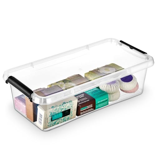 EDANTI Aufbewahrungsbox Mit Deckel Clips Organizer Badezimmer Küche Büro Schubladenbox Frischhaltedosen Sortierbox Medikamenten Aufbewahrung Sortimentskasten Plastikbox Klein Transparent (6l) von EDANTI