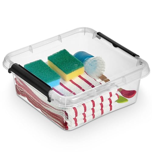 EDANTI Aufbewahrungsbox Mit Deckel Clips Organizer Ideal für Büro, Kinderzimmer, Küche, Schlafzimmer Sortierbox Sortimentskasten Plastikbox Transparent Quadratisch (6l) von EDANTI