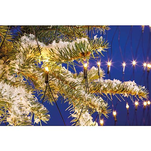 EGB LED-Lichternetz 2m x 2m 240 ww LED 4027236043447 von EGB