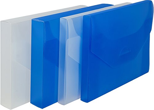 EICHNER 9218-00876 Sammelbox A4 2,0cm transparent von EICHNER