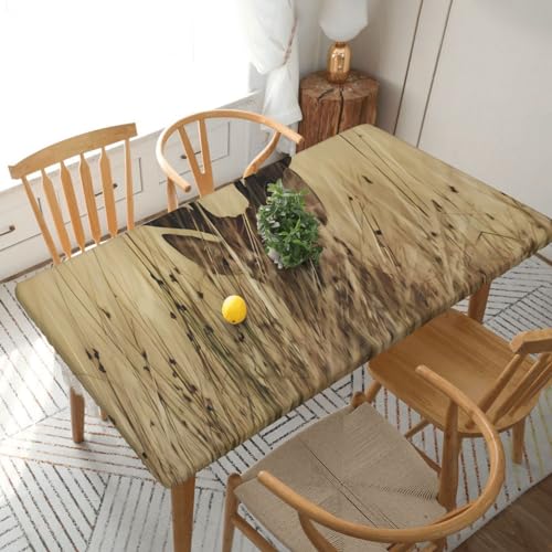 Rechteckige Tischdecke mit weißem Schwanz, wasserdicht, elastisch, für 152 cm große Tische, Tischdecke, abwischbar, Tischdecke für Picknick, Camping, drinnen und draußen, 76,2 x 183,9 cm von EKYOSHCZ