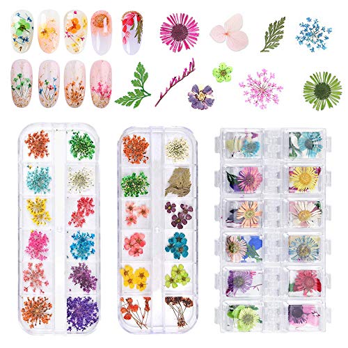 EMAGEREN Nagel Getrocknete Blume 3 Box Kleine Trockenblumen 3D Nailart Sticker Getrocknete Blumen Nagelkunst Aufkleber Getrocknete Blüten Nagel Kunst Zubehör für Nägel Dekoration Epoxidharz Dekor von EMAGEREN