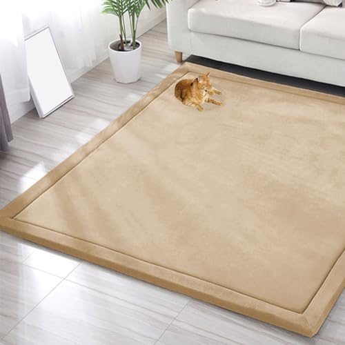 EN AyuL Großer Teppich, Korallensamt, Baby-Spielmatte, dicker Kinderzimmerteppich für Kinder, Krabbelmatte, Tatami-Yogamatte, rutschfeste Bodenmatte, Übungsunterlagen (120 x 120 cm, braun) von EN AyuL