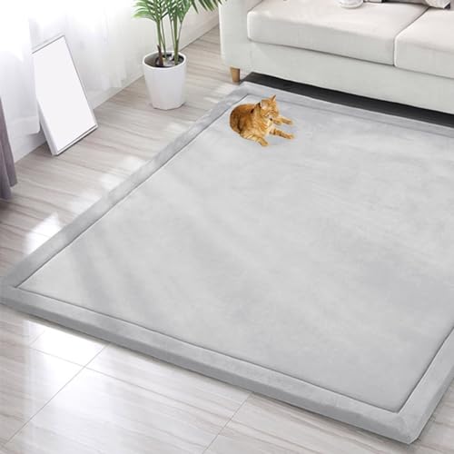 EN AyuL Großer Teppich, Korallensamt, Baby-Spielmatte, dicker Kinderzimmerteppich für Kinder, Krabbelmatte, Tatami-Yogamatte, rutschfeste Bodenmatte, Übungsunterlagen (200 x 200 cm, Grau) von EN AyuL