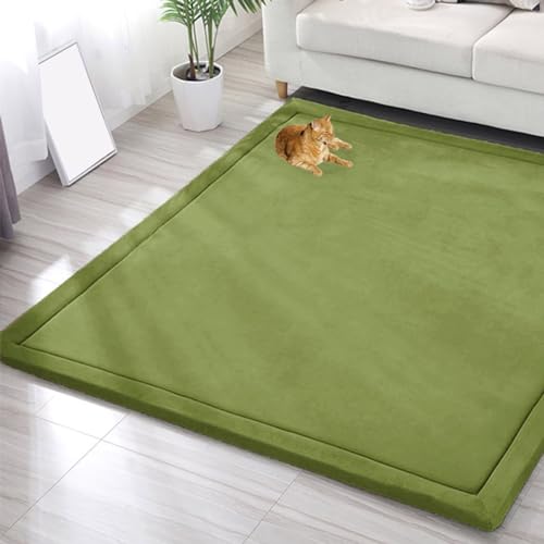 EN AyuL Großer Teppich, Korallensamt, Baby-Spielmatte, dicker Kinderzimmerteppich für Kinder, Krabbelmatte, Tatami-Yogamatte, rutschfeste Bodenmatte, Übungsunterlagen (80 x 80 cm, grün) von EN AyuL