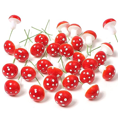 ENLACE Pilze Deko, 30 Stück Mini Rote Pilze, Gartenpilze Blumentopf Pilz Dekoration, 2cm*1,7cm, Mini Pilze Garten Töpfe für Micro Landschaft, Gartendekoration, DIY Potting Pflanzen von ENLACE