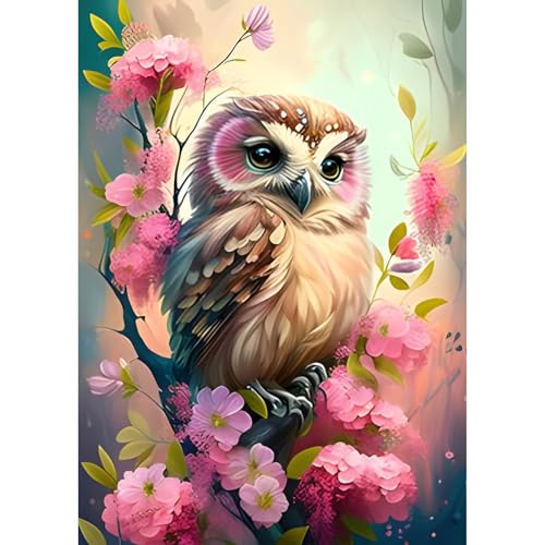 EOBROMD Diamond Painting Eulen, 5D Diamant Painting Bilder für Erwachsene Blumen, DIY Tiere Diamant Malerei Set für Wanddekoration 30x40 cm von EOBROMD