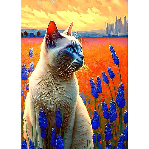 EOBROMD Diamond Painting Katze, 5D Diamant Painting Bilder Erwachsene Tiere, DIY Blume Diamant Malerei Set für Wanddekoration 30x40 cm von EOBROMD