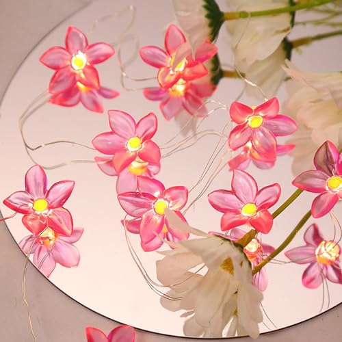 EONANT LED Blume String Lichter, 10ft 30 LED Blume Fee Lichter, batteriebetriebene Lily Blume Genie Lichter, Innen- und Außenleuchten für Schlafzimmer, Party, Garten und Urlaub (Rosa) von EONANT